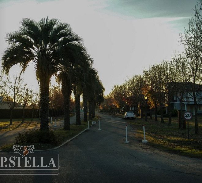 Entrada 3