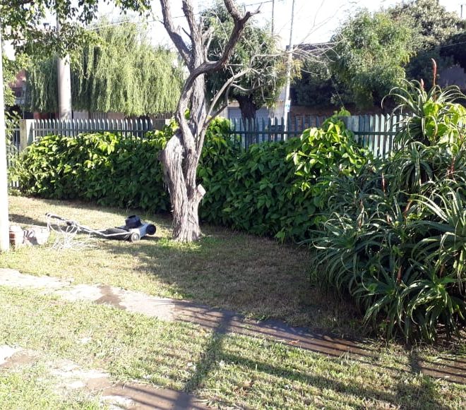 WhatsApp Image 2021-03-17 at 12.16.06 (2)
