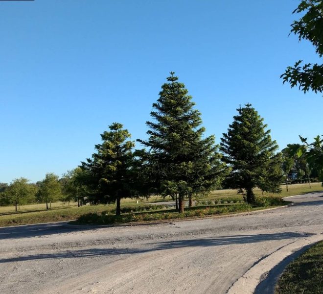 Vista interna