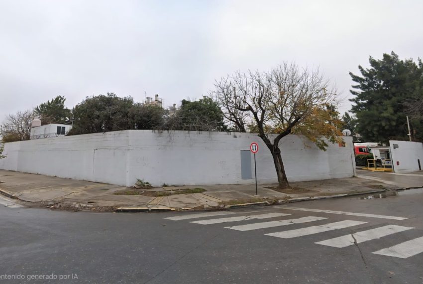 WhatsApp Image 2026-02-11 at 15.43.53 (3)