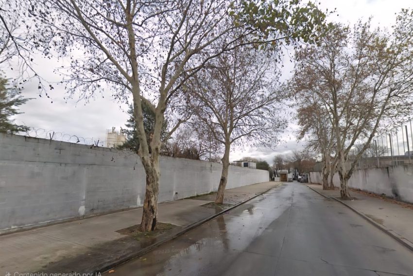 WhatsApp Image 2026-02-11 at 15.43.53