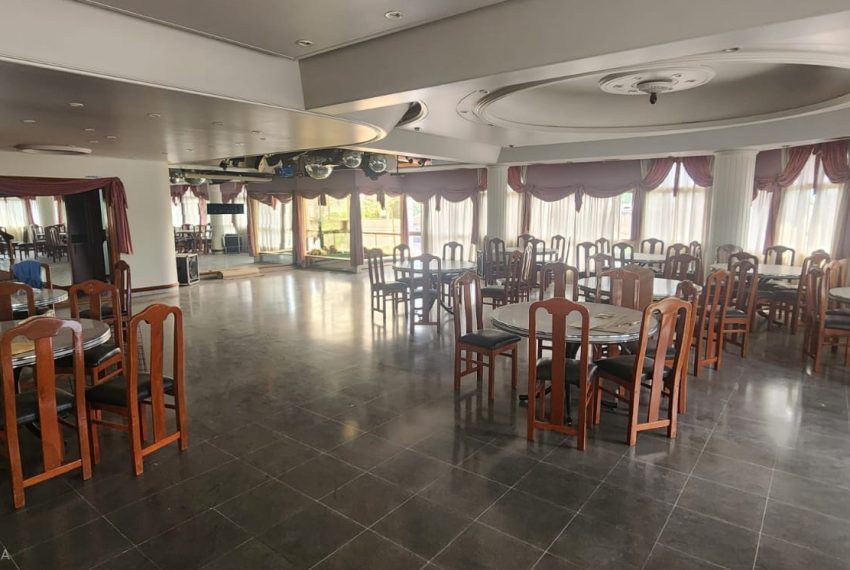 WhatsApp Image 2026-02-20 at 15.31.03 (3)