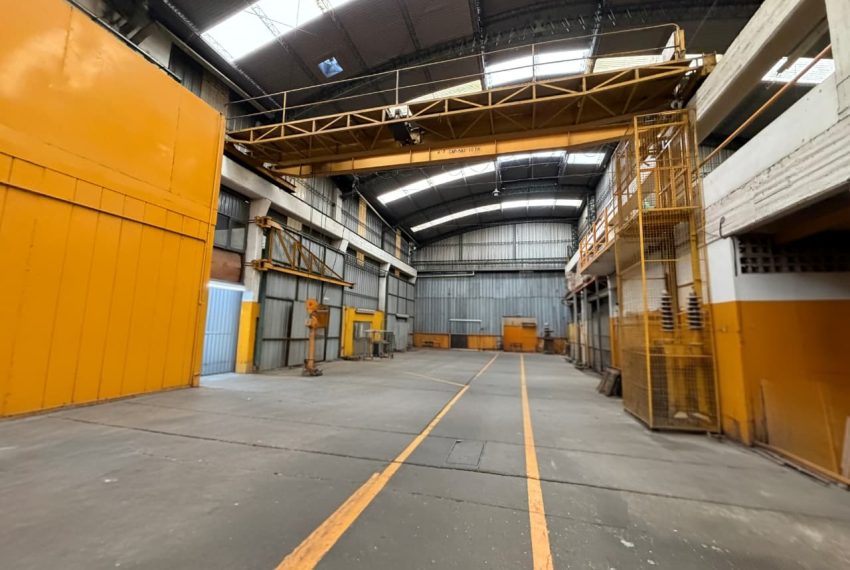 WhatsApp Image 2026-03-09 at 14.15.07 (3)