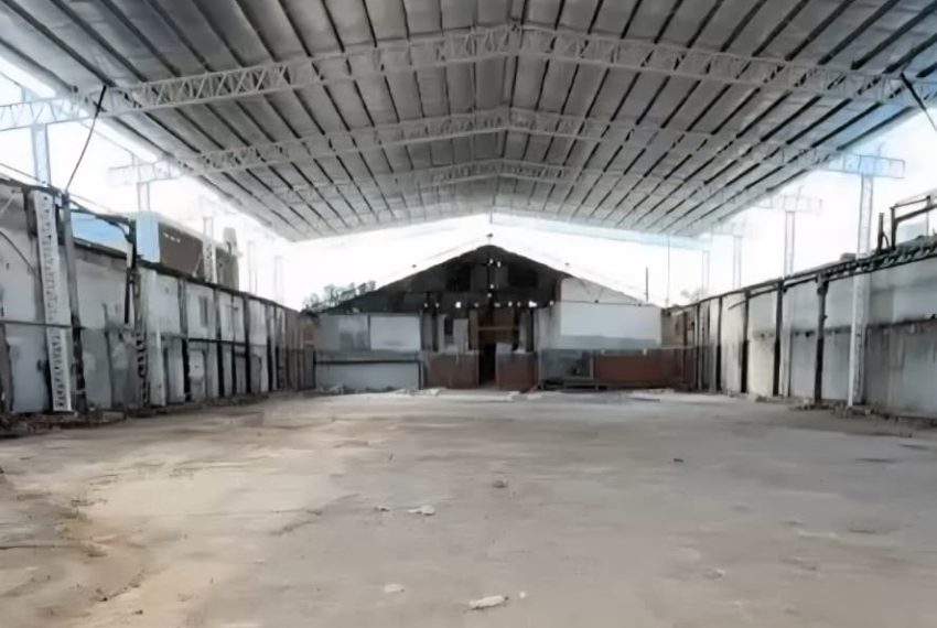 WhatsApp Image 2026-03-11 at 13.16.15 (1)