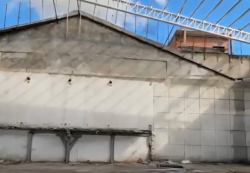 WhatsApp Image 2026-03-11 at 13.16.16 (1)