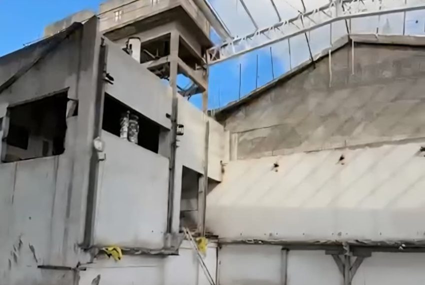 WhatsApp Image 2026-03-11 at 13.16.16