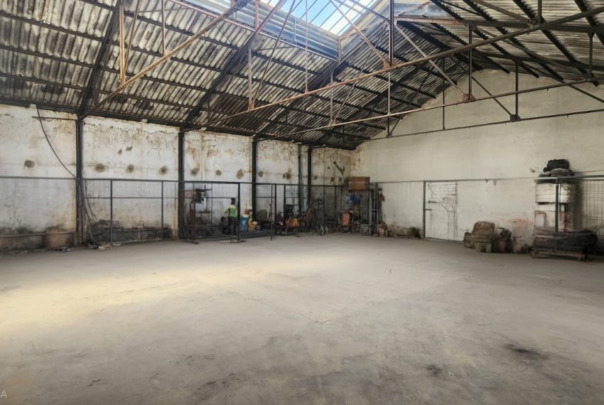 WhatsApp Image 2026-03-18 at 12.30.57 (1)