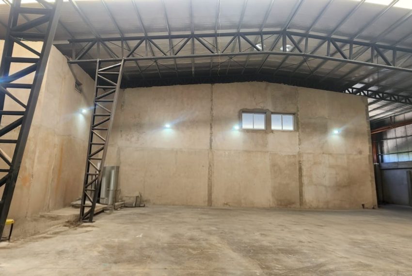 WhatsApp Image 2026-03-18 at 12.30.58 (4)