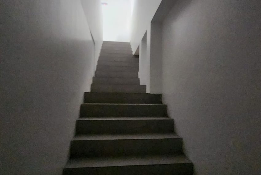 WhatsApp Image 2026-03-18 at 12.30.59 (1)