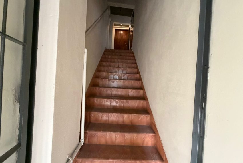 WhatsApp Image 2026-04-15 at 14.30.241