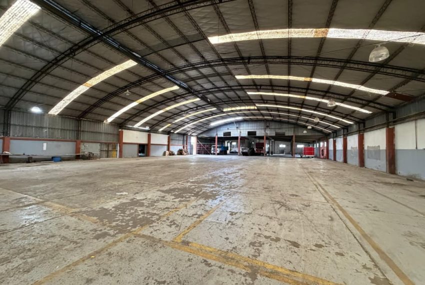 WhatsApp Image 2026-04-30 at 11.31.14 (1)