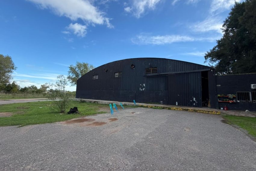 WhatsApp Image 2026-04-30 at 11.31.14