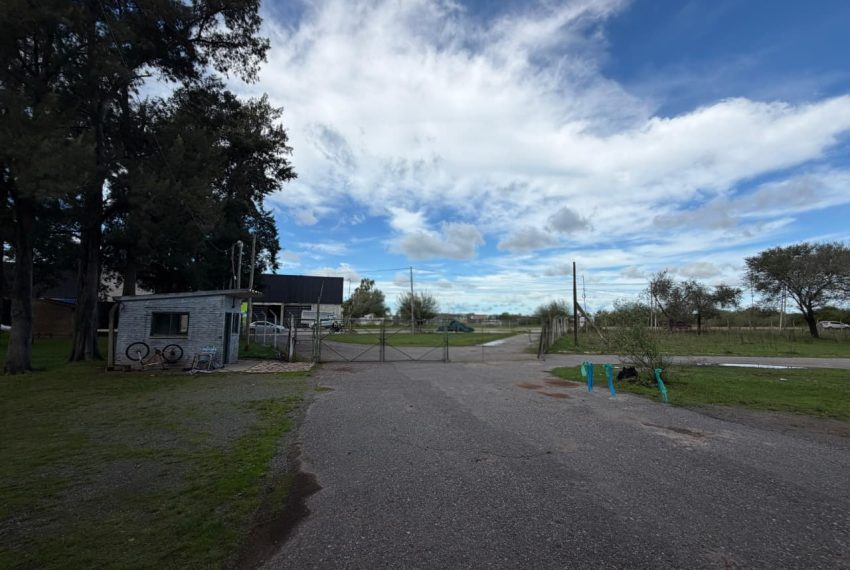 WhatsApp Image 2026-04-30 at 11.31.15 (1)