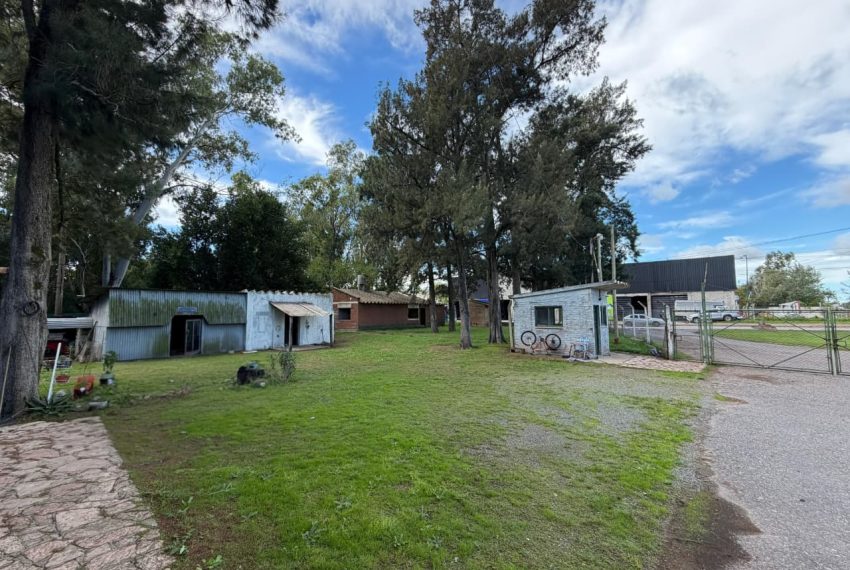 WhatsApp Image 2026-04-30 at 11.31.15 (2)