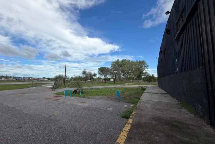 WhatsApp Image 2026-04-30 at 11.31.15 (3)