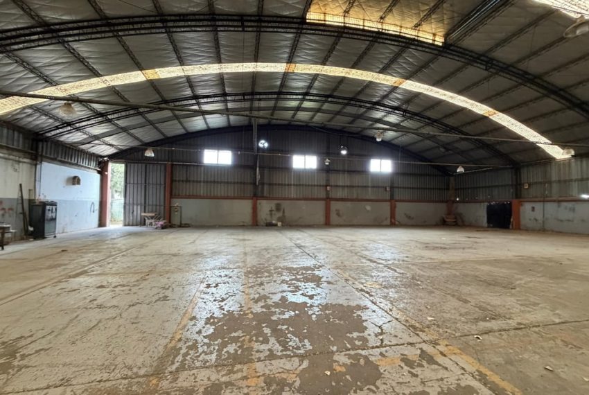 WhatsApp Image 2026-04-30 at 11.31.15 (4)