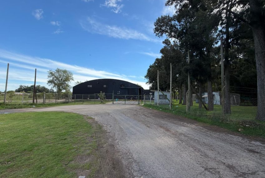 WhatsApp Image 2026-04-30 at 11.31.15