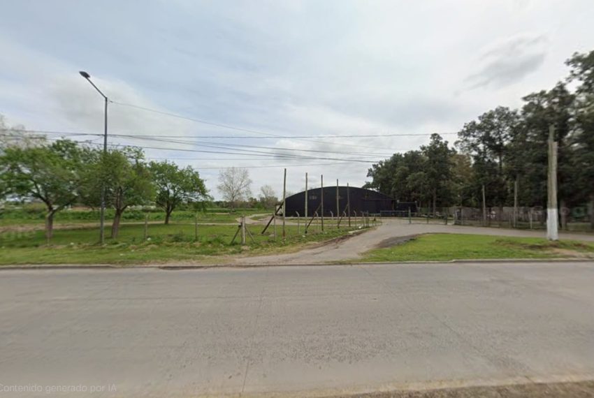 WhatsApp Image 2026-04-30 at 12.08.01