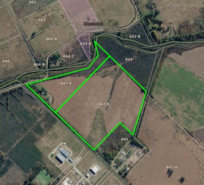 Vista Aerea